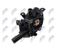 Thermostat d'eau NTY CTM-FT-033
