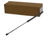 NTY Élévateur de suspension AR pour coffre AE-BM-059