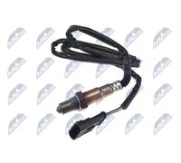 NTY ESL-AR-002 Sonde lambda