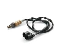 NTY ESL-AU-005 Sonde lambda