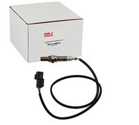 NTY ESL-MS-012
