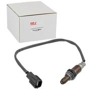 NTY ESL-TY-041 Sonde lambda