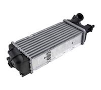NTY Ladeluftkühler Intercooler pour Fiat 500 C 0.9 1.4 312 CNG-FT-016 sans AGR