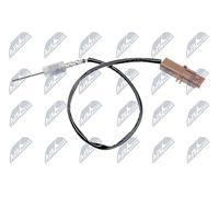 NTY Palpeur température des gaz EGT-FT-025 pour Scudo (270_, 272_)
