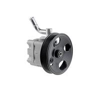 NTY SPW-NS-009 Pompe de direction assistée