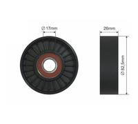 NTY Poulie De Courroie Pour KIA Opirus GH 3.5