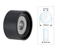 NTY Poulie De Guidage Pour Mercedes-Benz M-Class 166 ML