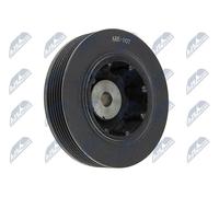 NTY RKP-RE-007 Poulie damper (vilebrequin)
