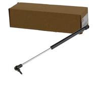 NTY Ressort à gaz, coffre/coffre AE-CH-019