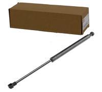 NTY AE-DW-004 Vérin de coffre