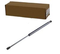 NTY Ressort à gaz, coffre/coffre AE-DW-008