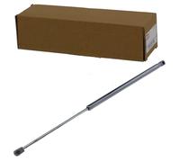 NTY Ressort à gaz, coffre/coffre AE-FR-028