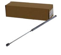 NTY AE-SA-000 Vérin de coffre