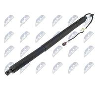 NTY Ressort à gaz, étagère (coffre/chargement) AE-PS-003