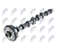 Arbre à cames Côté d'admission RKZ-VW-001 NTY pour VW SEAT SKODA AUDI