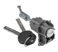 NTY Serrure De Porte Compatible Pour Land Rover Range LM 3.6 D 4X4 4.4 LM