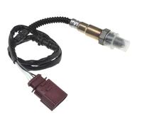 NTY Sonde Lambda de Diagnostic pour VW Caddy II Boîte 9K9A 60 1.4 Golf Van IV