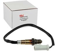 NTY Sonde lambda avant pour Ford Focus 1.4/1.6 (2000-) et Mondeo 1.6/1.8/2.0 (1998-)