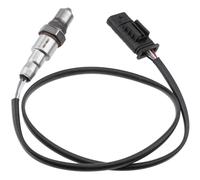 NTY ESL-BM-030 Sonde lambda