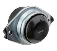 NTY Support Moteur Avant Pour Mercedes-Benz Classe M W164 ML 320 CDI