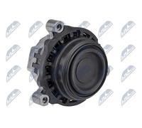 NTY Support Moteur Hydrolager ZPS-BM-028 Pour BMW, Droite