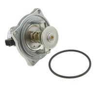 Thermostat d'eau NTY CTM-BM-045
