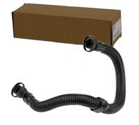 NTY Tuyau (ventilation du carter) GPP-VW-037