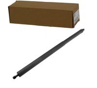 NTY AE-FR-074 Vérin de coffre