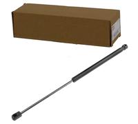 NTY Vérin de hayon, de coffre compatible avec Dacia, Renault - Noir