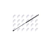 NTY Vérin de hayon, de coffre compatible avec Vauxhall, Opel, Chevrolet - Métal - 100N - Référence AE-DW-002 - EAN 5902048138880