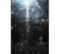 Nu Chemical Rhetoric:First Cut [Import allemand]