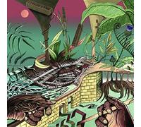 Nu Guinea - The Tony Allen Experiments Afrobeat Makers Vol.3 - LP