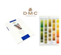 Nuancier DMC Avec Échantillons De Fils Réels - Coton Mouliné Fil Embroidery
