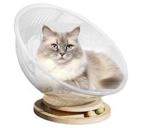 Nubamzy Canapé pour chat | Lit autoportant transparent pour petit chat - Centre d'activités stable facile à nettoyer avec jouets pour chat, lit spatial, jouets pour chats d'intérieur
