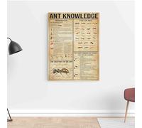 Nuboxx Ant Knowledge Plaque en métal en métal Motif fourmis Types de fourmis Poster éducatif Décoration murale de salle de classe Cadeau de Noël Toile métallique 15,2 x 20,3 cm
