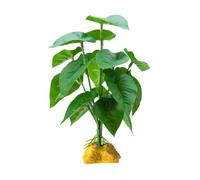 Nucelit Herbe de décoration réaliste pour reptiles, terrariums, grotte naturelle, décoration d'habitat, plantes grimpantes, hamac, cachettes, grotte artificielle, décoration de plantes artificielles