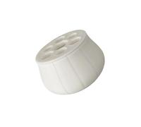 Nucelit Jardinière hydroponique d'oignon pour sol sans jardinage et culture rapide d'oignons dans les maisons, environnement, décoration de plantes d'intérieur