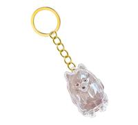 Nucelit Porte-clés émotionnellement pour perte d'animaux domestiques avec boîte de rangement transparente pour les propriétaires de deuil, porte-clés commémoratif pour perte d'yeux