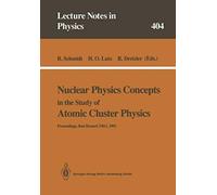 Nuclear Physics Concepts In The Study Of Atomic Cluster Physics