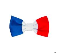 Nœud Papillon Bleu, Blanc, Rouge - Taille Unique