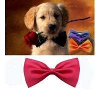 Nœud Papillon - LC FRANCE - Rouge - Taille 105mm x 60mm - Longueur de Corde 455mm - Réglable