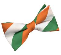 Nœud papillon rayé Irlande Drapeau national irlandais pour homme, Orange, vert, blanc, taille unique