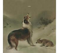 Nudge - As Good As Gone [Import]