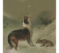 Nudge - As Good As Gone [Import]