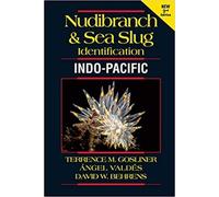 Nudibranch and Sea Slug Identification - Indo-Pacific 2nd Edition [Paperback]