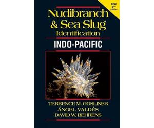 Nudibranch & Sea Slug Identification - Indo-pacific