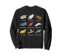 Nudibranche Limaces marines Biologie marine Biologiste de la mer Océan Sweatshirt