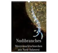Nudibranches Meeresnacktschnecken aus Nord-Sulawesi (Wandkalender 2026 DIN A3 hoch), CALVENDO Monatskalender: Faszination Nacktschnecken unter Wasser