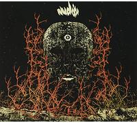 Nudist - See Light Beyond The Spiral [Import]