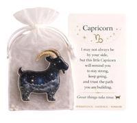 NUEAYMS Zodiacs Pocket Hug Inspirational Keepsakes Échangez des Cartes de Relations pour Les collègues de la Famille Zodiacs Pocket Hug Tokens Inspirational Keepsakes